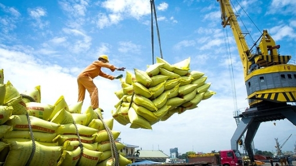 Rice exports account for the majority of export surplus to the Philippines